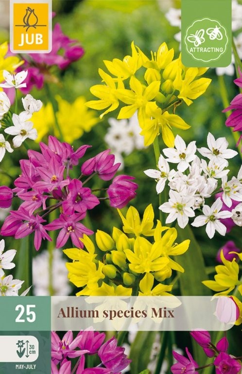 Alium lukovice species mix 25/1