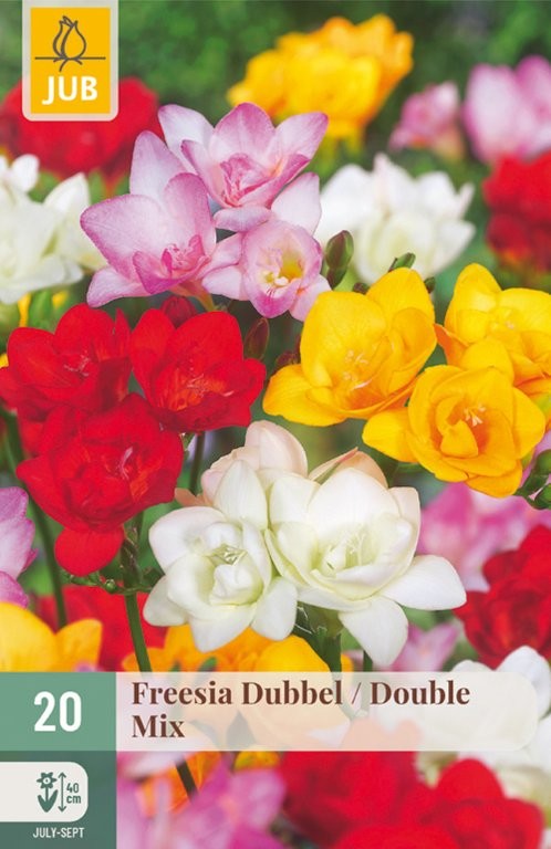 Freesia lukovice Double Mix 20/1