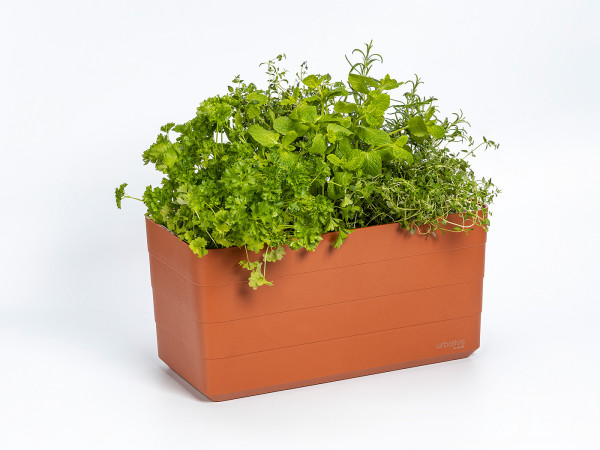 https://www.monteagro.rs/images/products/big/691.jpg