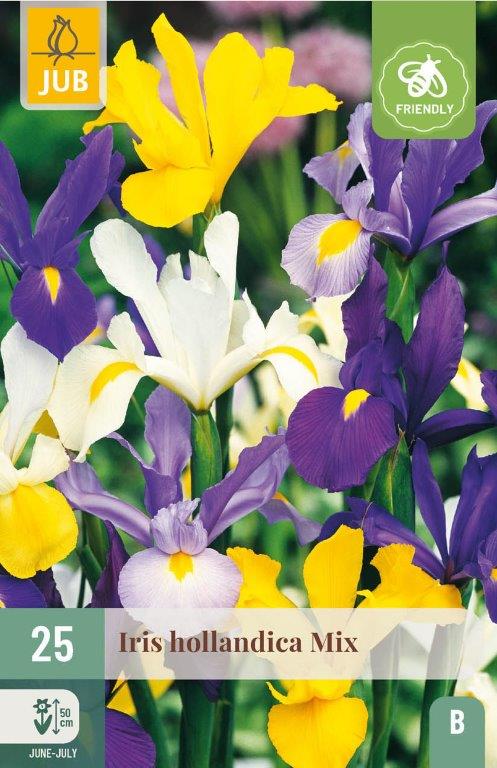 25 IRIS HOLLANDICA MIX