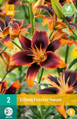 2 LILIUM FOREVER SUSAN