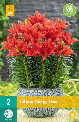 2 LILIUM HAPPY HEART