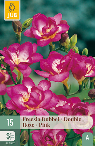 15 FREESIA DUBBEL ROZE / DOUBLE PINK