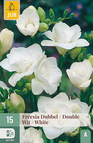 15 FREESIA DUBBEL WIT / DOUBLE WHITE