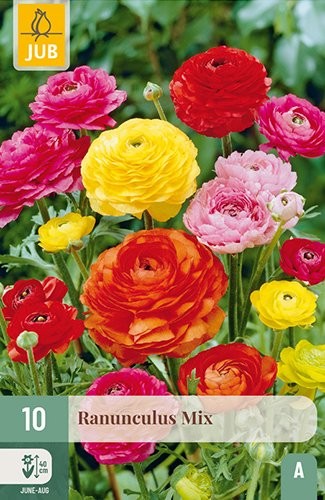 10 RANUNCULUS MIX
